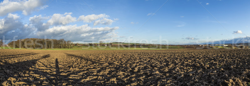 Zdjęcia stock: Pola · krajobraz · drzew · zimą · niebieski