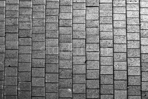 grey paving tiles  Stock photo © meinzahn