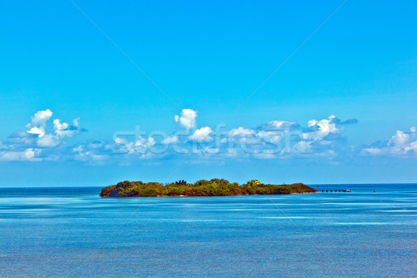 beautiful island in the Florida keys Stock photo © meinzahn