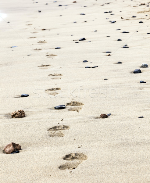 footprints on the beach  Stock photo © meinzahn