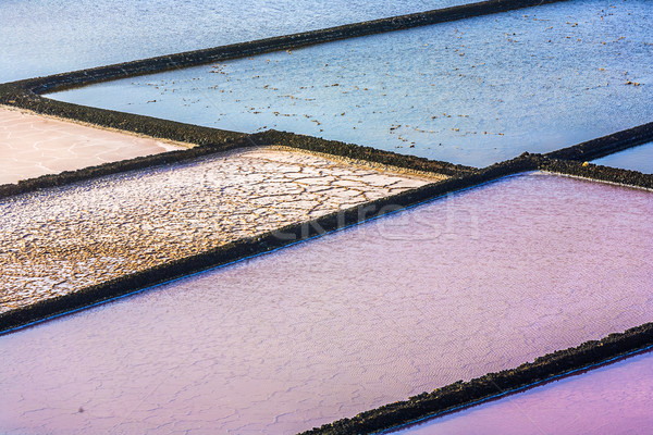 detail of salt basin in saline Stock photo © meinzahn