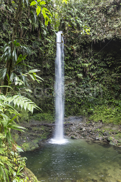 Foto stock: Esmeralda · lago · água · ilha · Dominica · ocidente