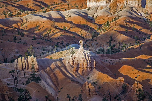 Bryce Canyon in sunrise Stock photo © meinzahn