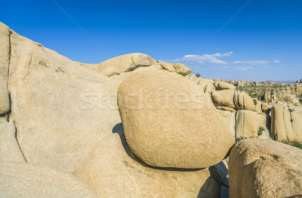 scenic rocks in Joshua Tree National Park  Stock photo © meinzahn