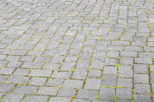pattern of old cobble stone road  Stock photo © meinzahn