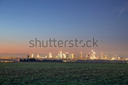 Panoramic view to Frankfurt am Main in horizon Stock photo © meinzahn