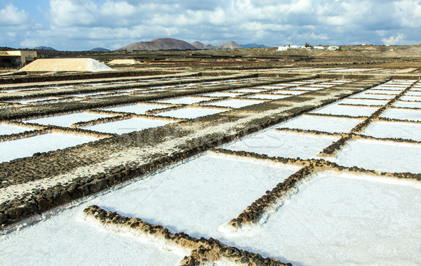 salt basins in saline de Janubio Stock photo © meinzahn