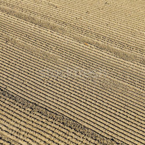 pattern of grated sand early morning at south beach Stock photo © meinzahn