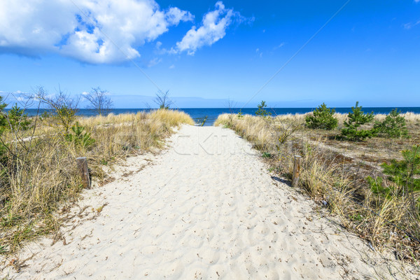 Stok fotoğraf: Kumlu · yol · plaj · baltık · denizi · manzara · deniz