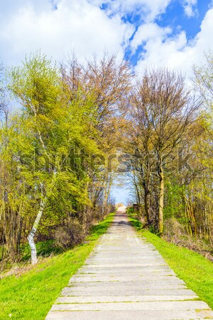 Kumlu yol plaj baltık denizi su manzara Stok fotoğraf © meinzahn