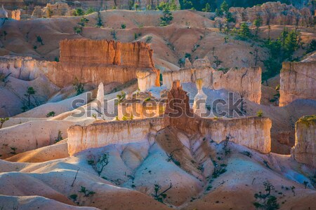 beautiful landscape in Bryce Canyon in sunrise  Stock photo © meinzahn