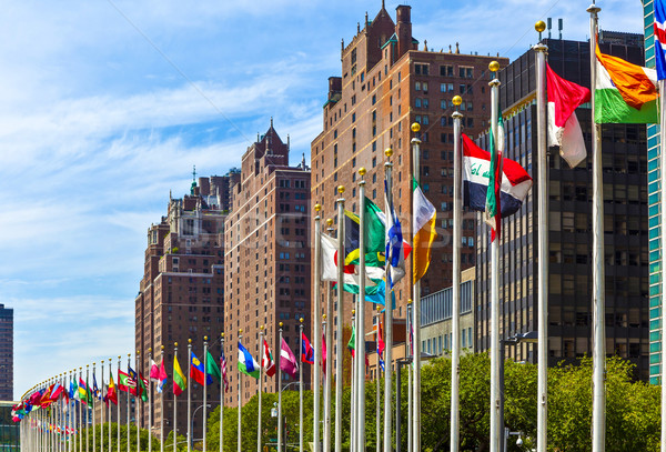 United Nations Headquarters with flags of the   members of the U Stock photo © meinzahn