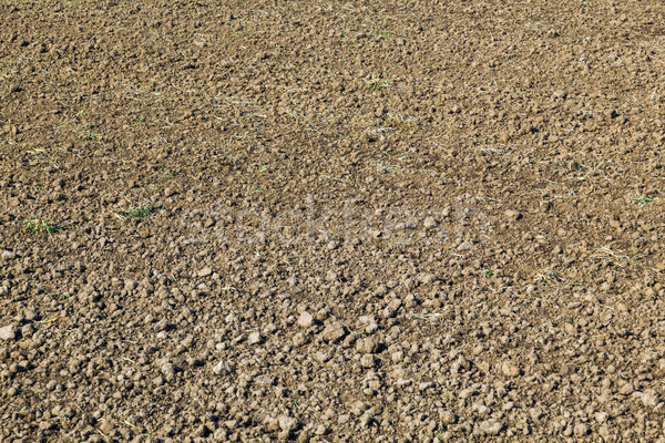 freshly ploughed field in spring  Stock photo © meinzahn