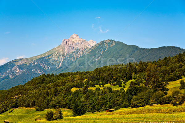 Piękna krajobraz alpy dobre trawy wspaniały Zdjęcia stock © meinzahn