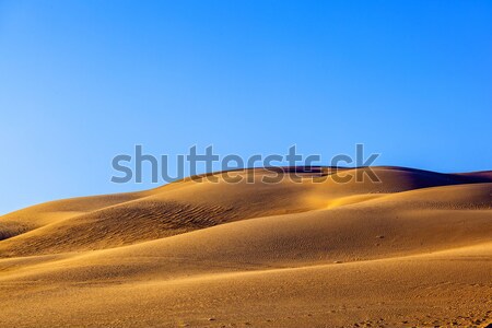 Duin zonsopgang woestijn mooie zon licht Stockfoto © meinzahn