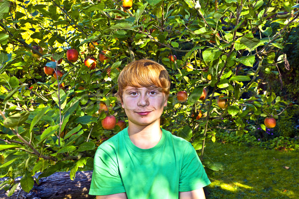 Cute Smart ragazzo giardino albero mano Foto d'archivio © meinzahn