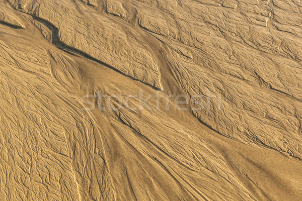 texture on the sand beach while low tide time Stock photo © meinzahn