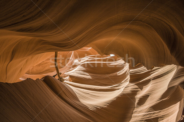 Rés kanyon oldal Arizona festői absztrakt Stock fotó © meinzahn