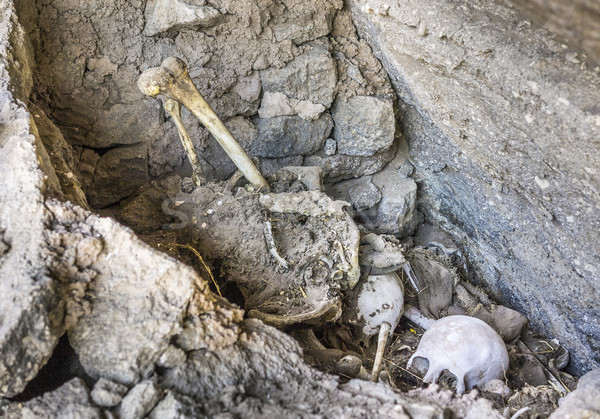 Antichi Bolivia vecchio testa scheletro Foto d'archivio © meinzahn
