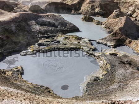 間欠泉 ボリビア 水 風景 光 砂漠 ストックフォト © meinzahn