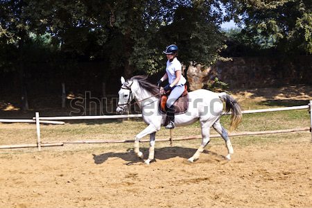 female rider trains the horse in the riding course Stock photo © meinzahn