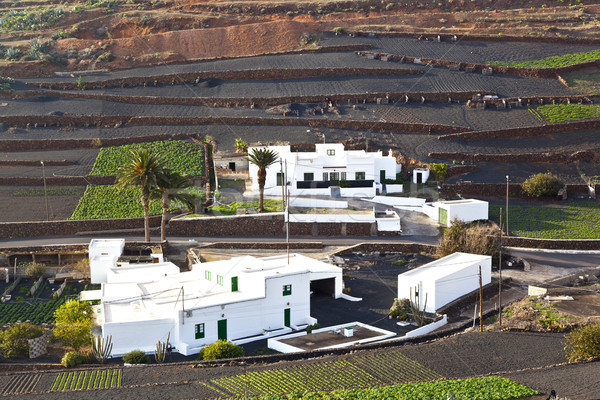 farmhouse in rural hilly area in Lanzarote  Stock photo © meinzahn