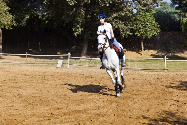 female rider trains the horse in the riding course Stock photo © meinzahn