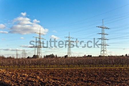 electricity tower for energy in beautiful landscape Stock photo © meinzahn