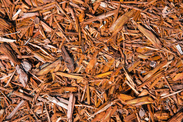 Background of natural wood shavings Stock photo © meinzahn