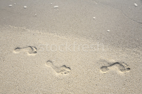 Menselijke volwassen voetafdruk zand strand water Stockfoto © meinzahn