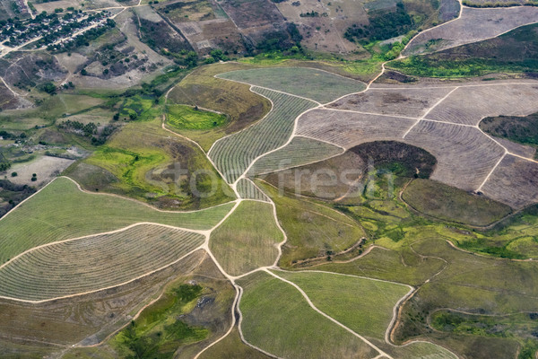 aerial of hilly landscape in Macuca Stock photo © meinzahn