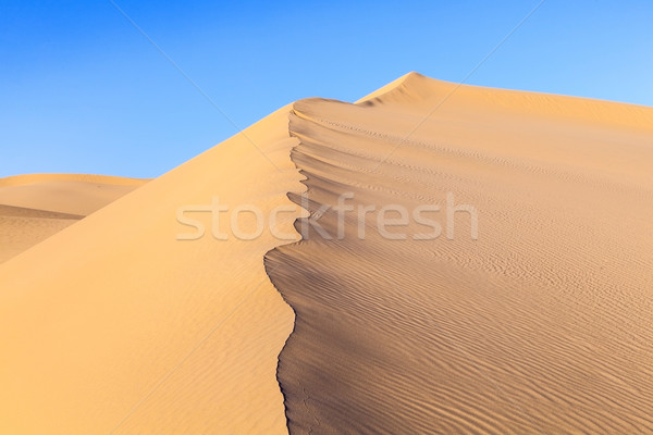 Stock photo:  sand dune in sunrise in the desert