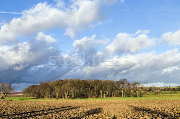 rural landscape with plowed fields and blue sky Stock photo © meinzahn