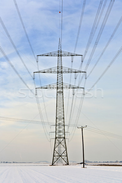 electrical tower in wintertime Stock photo © meinzahn