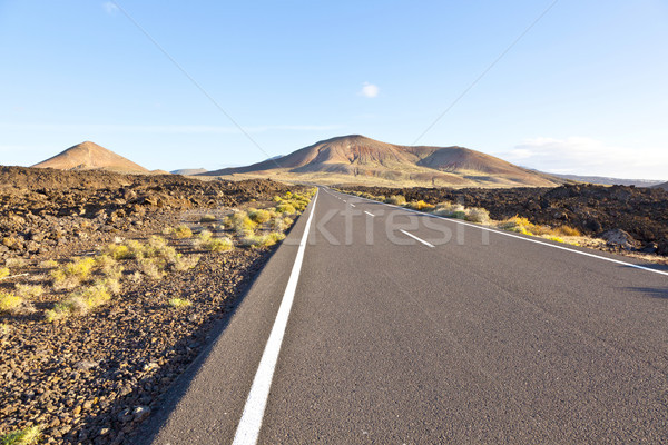 street throug volcanic Timanfaya national park in Lanzarote Stock photo © meinzahn