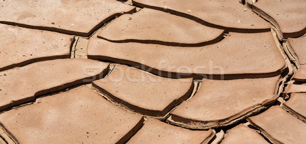 dried loam in the desert Stock photo © meinzahn