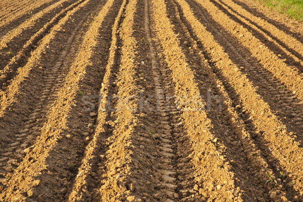 Background of newly plowed field  Stock photo © meinzahn