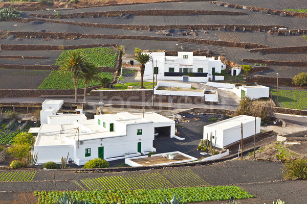 farmhouse in rural hilly area in Lanzarote  Stock photo © meinzahn