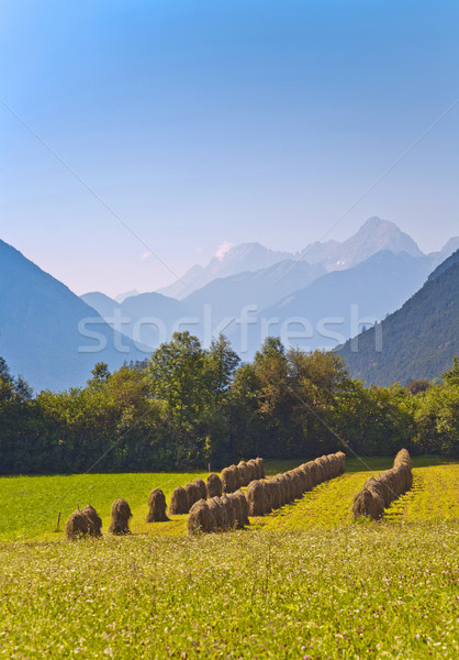 beautiful landscape in the tirolean Alps Stock photo © meinzahn