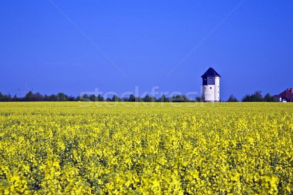 water tower in beautiful landscape with blue sky Stock photo © meinzahn