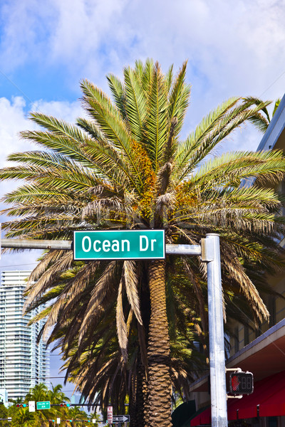 Sokak işareti okyanus sürmek ünlü güney Miami Stok fotoğraf © meinzahn