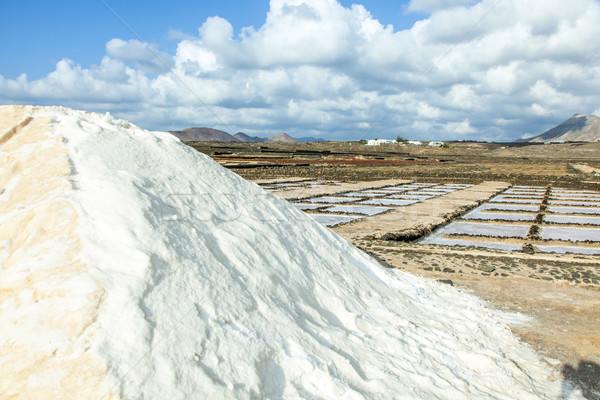 salt basins in saline de Janubio Stock photo © meinzahn