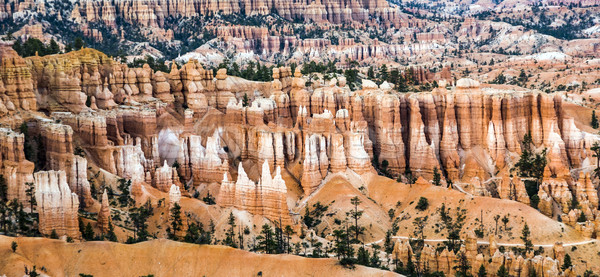 bryce canyon with spectacular hoodoos in sunrise Stock photo © meinzahn