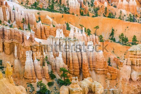 bryce canyon with spectacular hoodoos   Stock photo © meinzahn