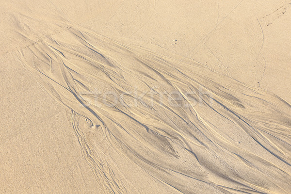 pattern type texture on the sand beach  Stock photo © meinzahn