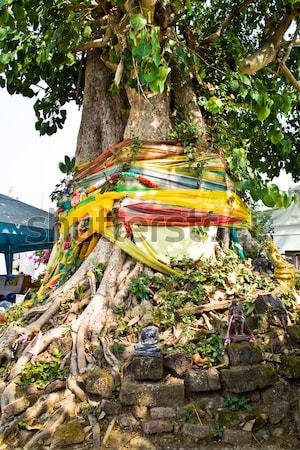 monastery Wat Na Phramane in Ajutthaya with famous gold buddha a Stock photo © meinzahn