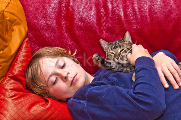 young boy is hugging with his cat  Stock photo © meinzahn