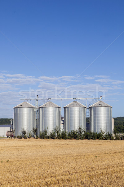 four silver silos in the field after the harvest  Stock photo © meinzahn