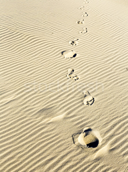  background of sand ripples at the beach with prints of feet Stock photo © meinzahn