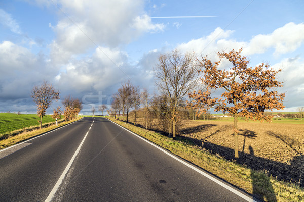 street in farmland in sunset Stock photo © meinzahn